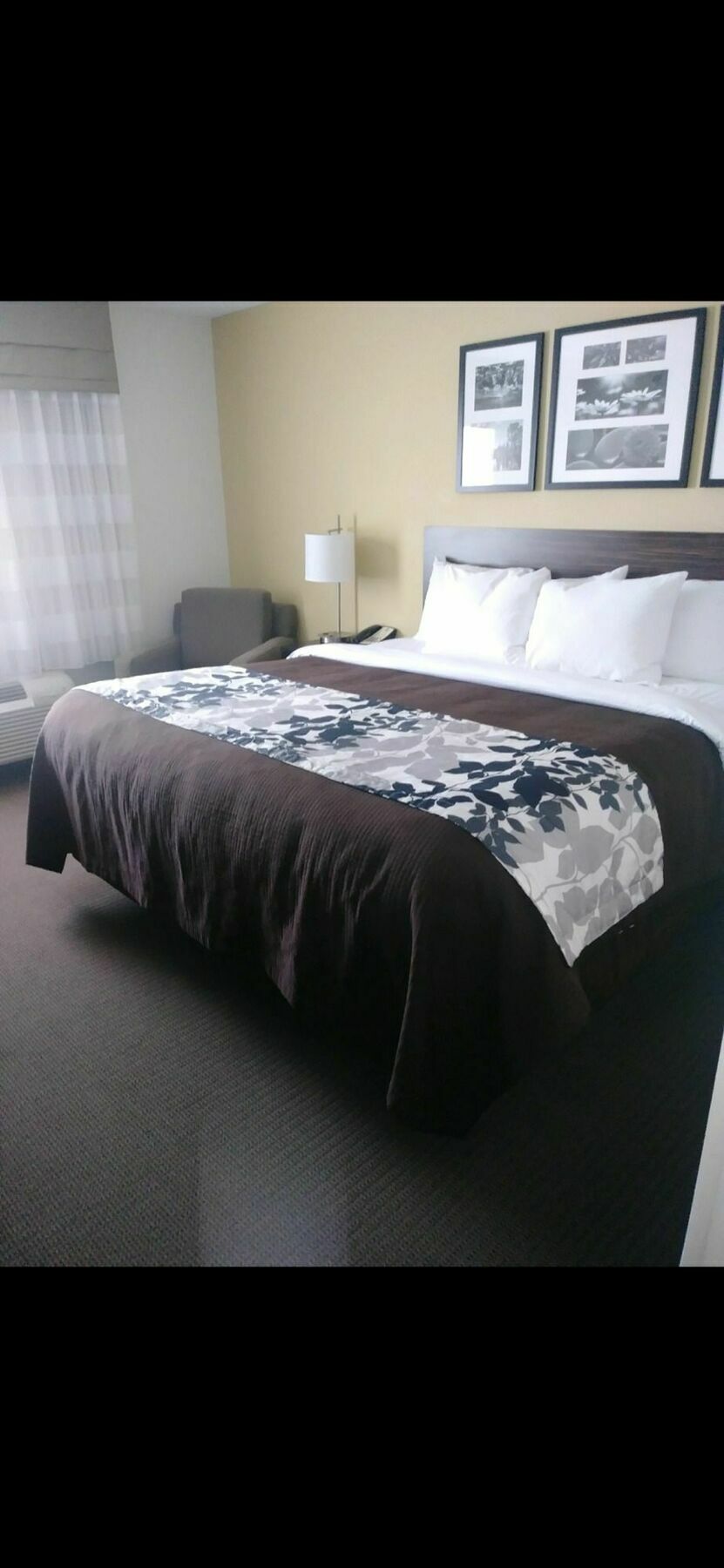 Sleep Inn&Suites Fargo Medical Center Buitenkant foto